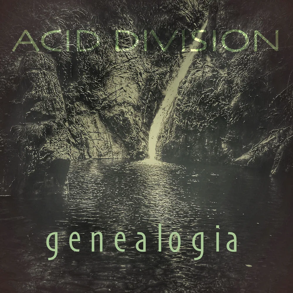 Acid Division