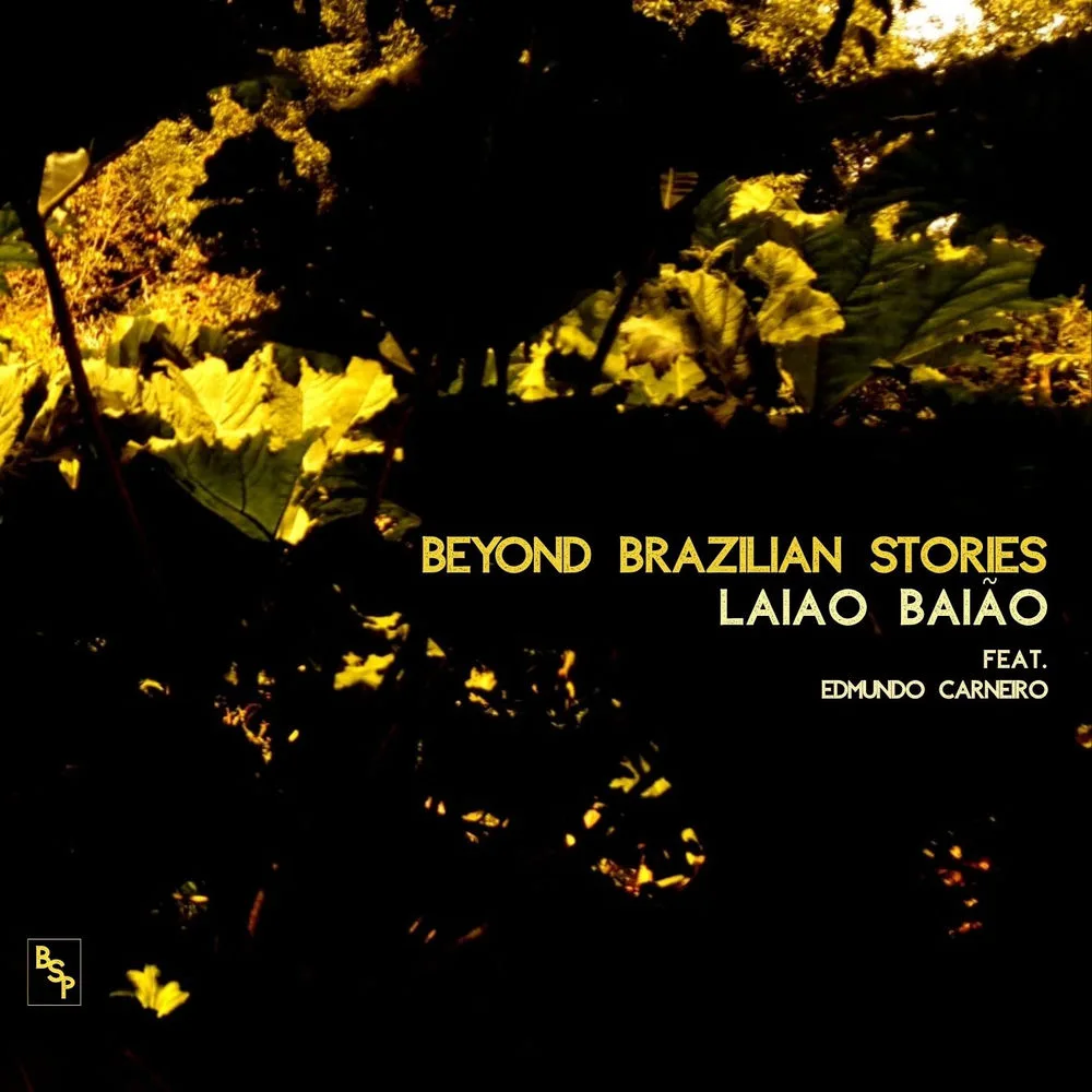 Beyond Brazilian Stories