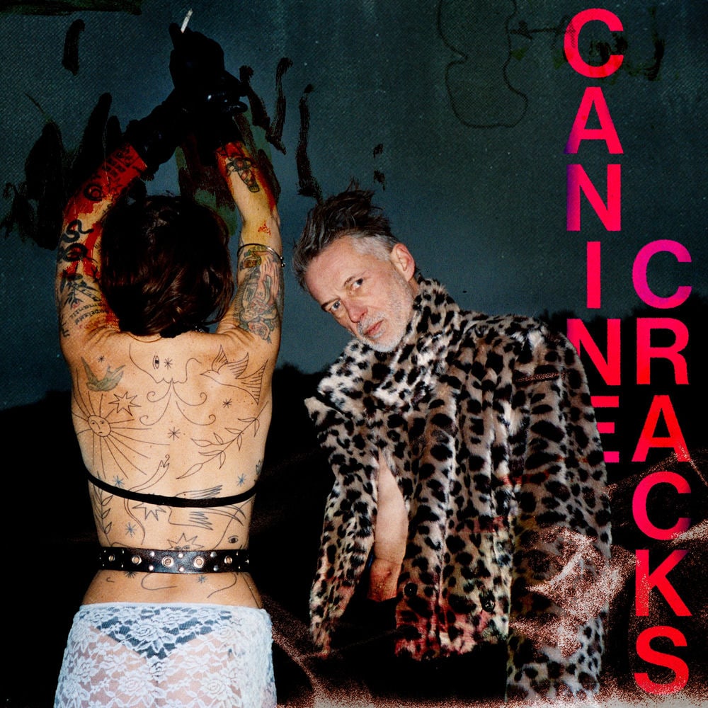 Canine Cracks