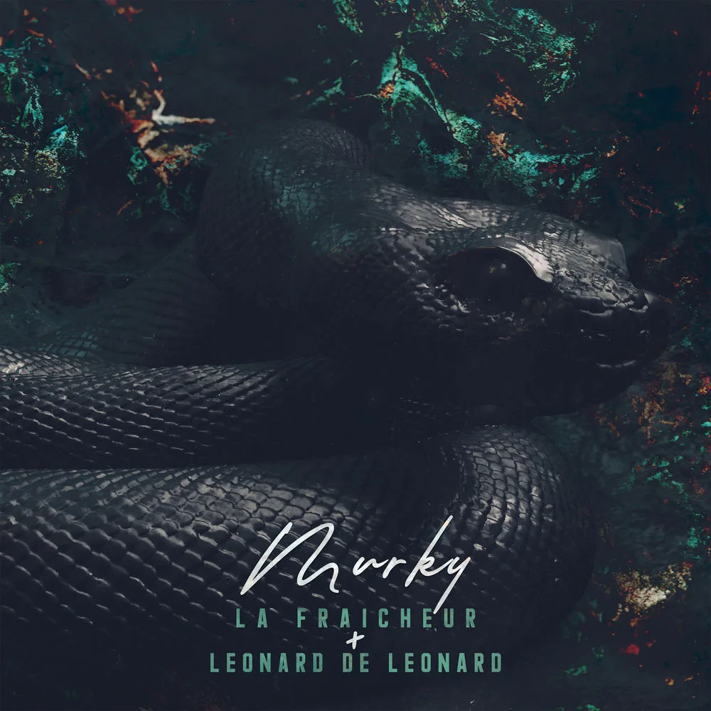 Leonard de Leonard