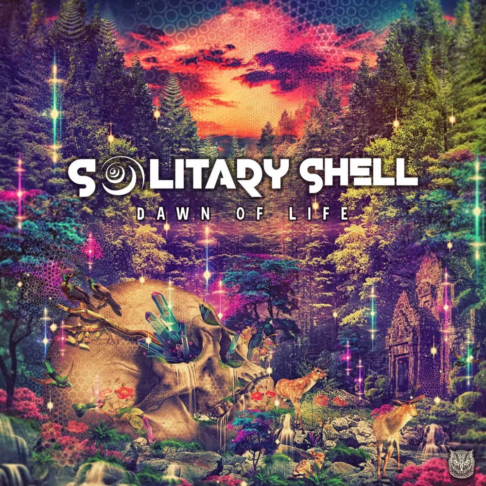 Solitary Shell