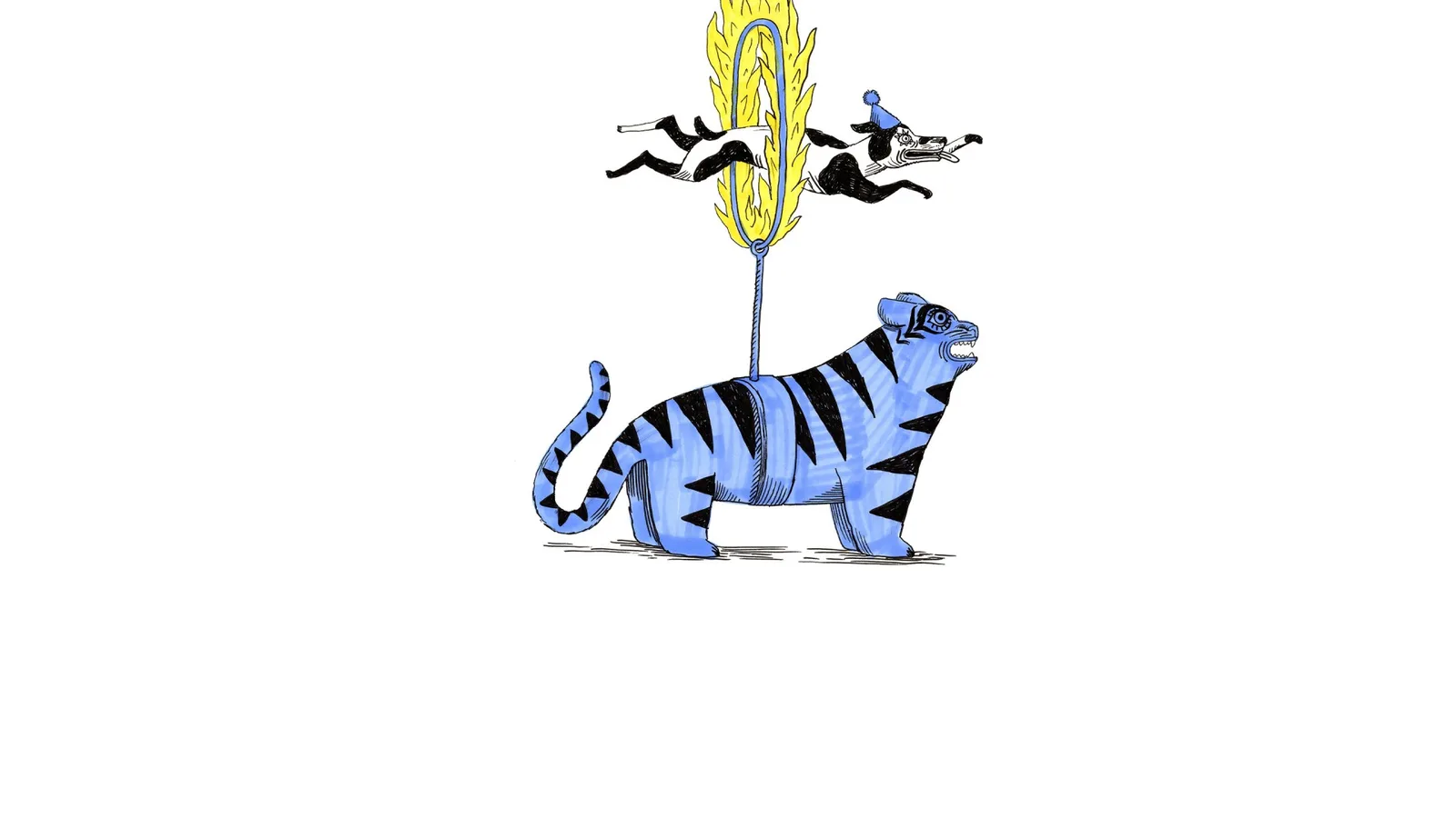 Bazar circus