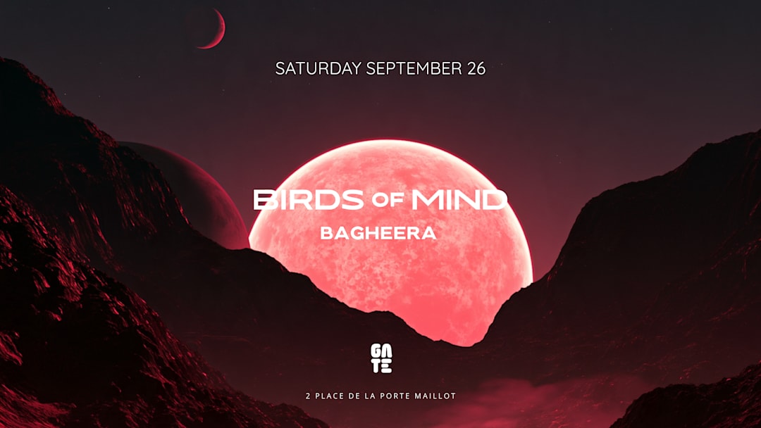 Birds of Mind x Bagheera