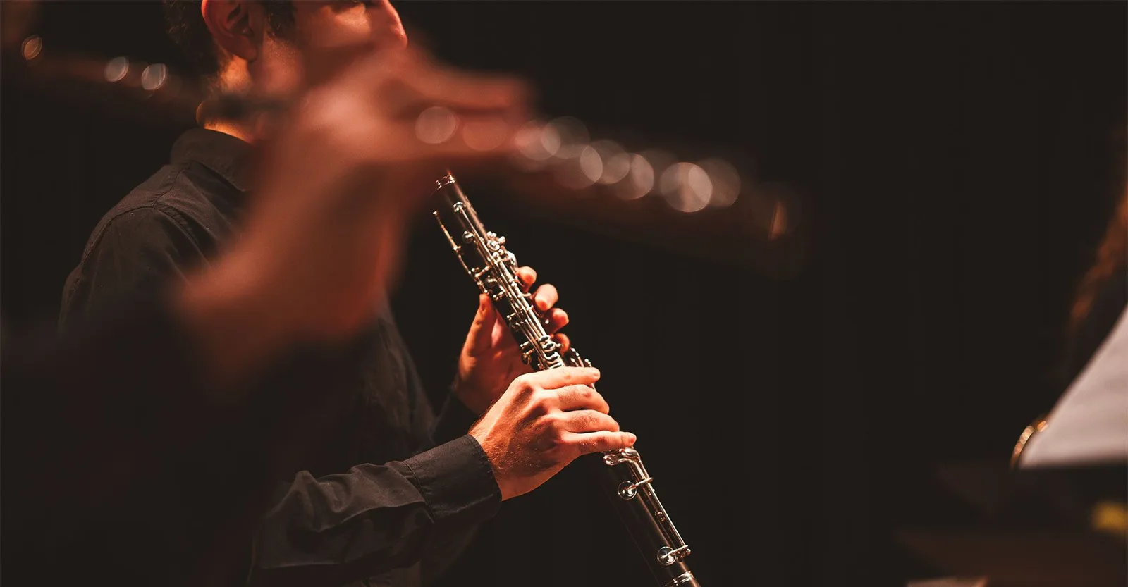 Brahms / Zemlinsky