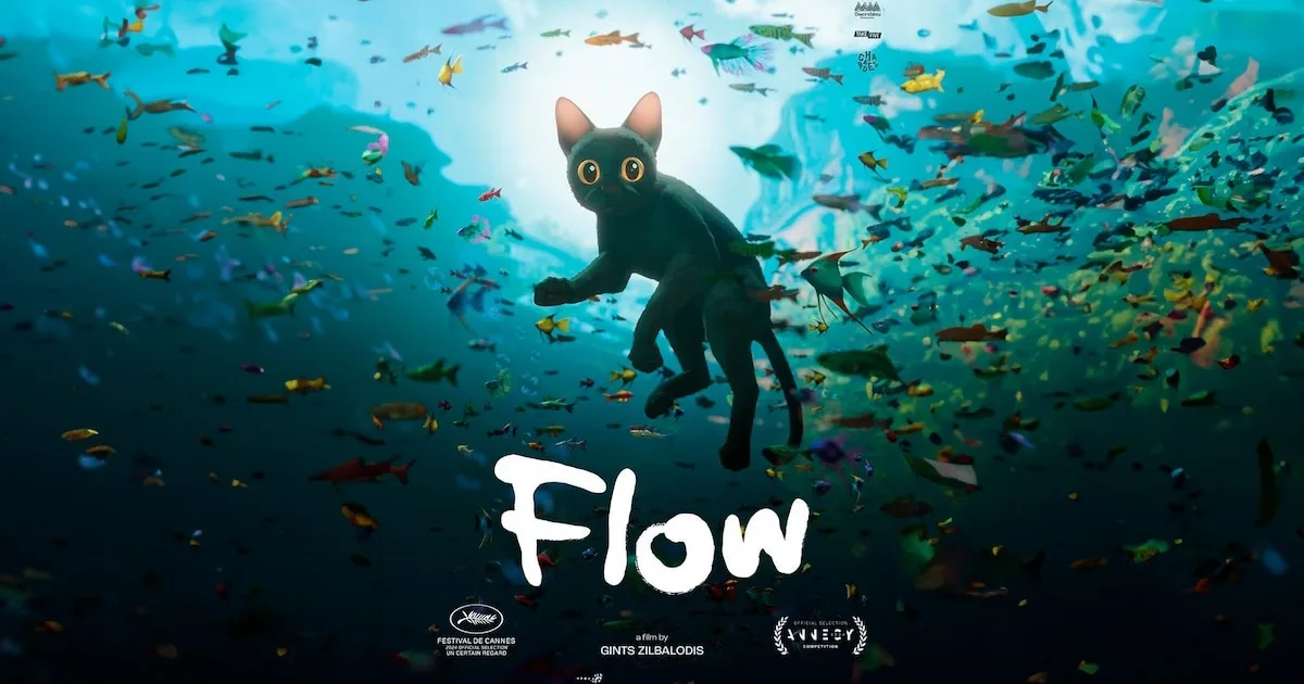 Ciné-concert : Flow avec Lenny Marsouin