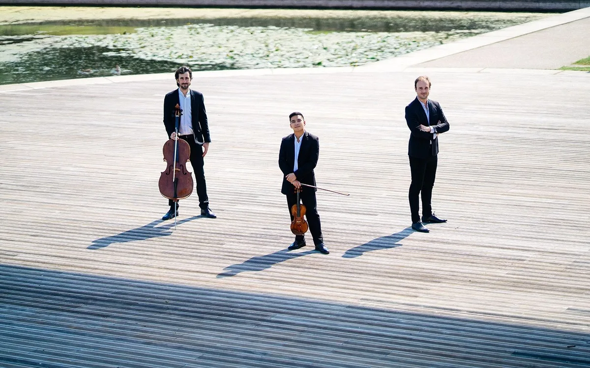 Trio Zadig