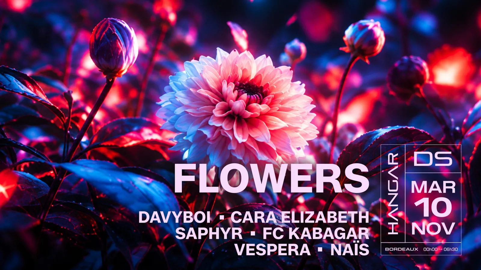 Flowers - Davyboi, Cara Elizabeth, Saphyr, FC Kabagar