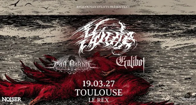 Houle + Cân Bardd + Galibot