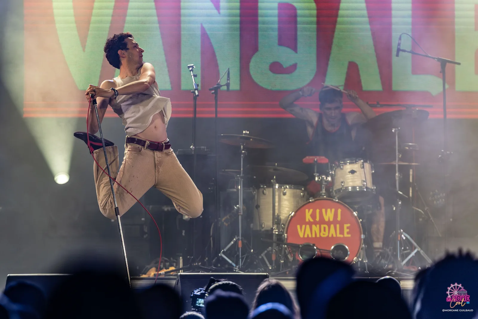 Kiwi Vandale