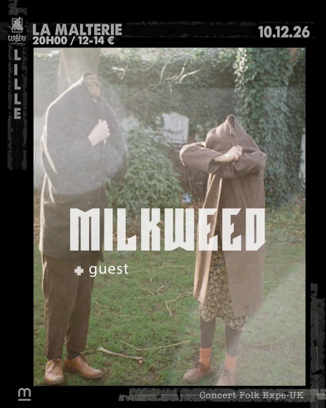 Milkweed